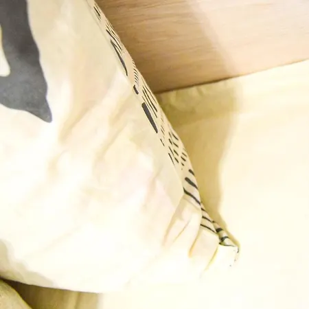 דירה студио 